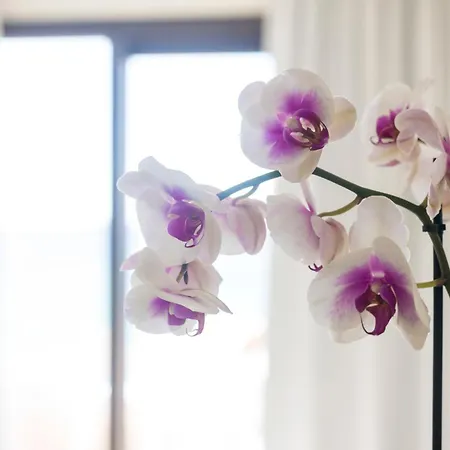 Ξενοδοχείο Blue View Seaside