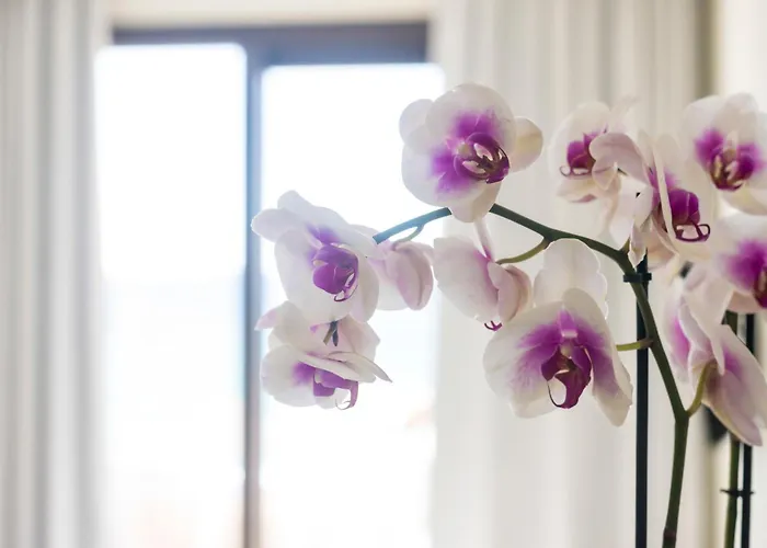 Hotel Blue View Seaside